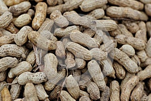Closeup of fresh peanuts
