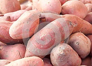 Close up of fresh picked yams piled for sale