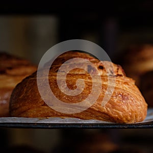 Close up fresh puff pastry rolls with ham and cheese on baking pan board. A tray with fresh bakery products bread puff pastry at a