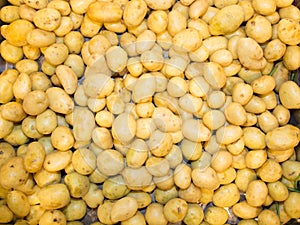 Close-up of a fresh raw potatoes background