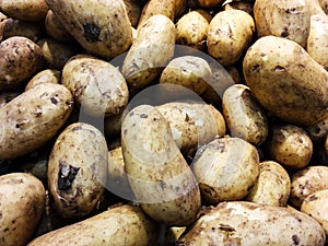 Close-up of fresh   raw potatos