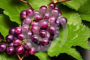 Close up of fresh red grapes