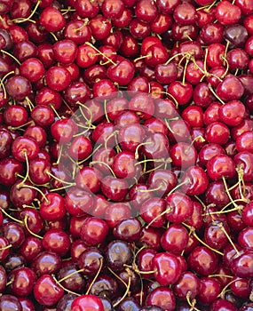 Close up of fresh red lapin cherries in a crate for sale at the local fruit stand