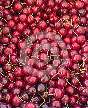 Close up of fresh red lapin cherries in a crate for sale at the local fruit stand photo