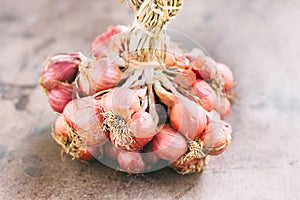 Close-up of fresh red onions