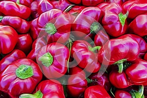 Fresh red peppers in market stall