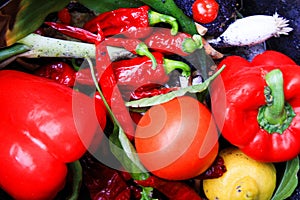 Close up of fresh red vegetable bell pepper, tomato, chilis in waste bin