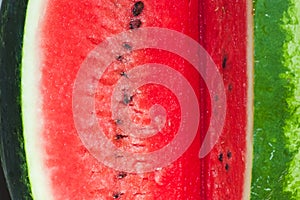 Close-up of fresh red watermelon