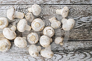 Close-up of fresh, ripe mushrooms on white wood background