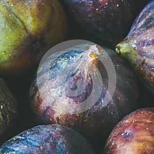 Close-up of fresh ripe seasonal purple figs. Food texture, background