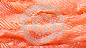 Close up Fresh salmon