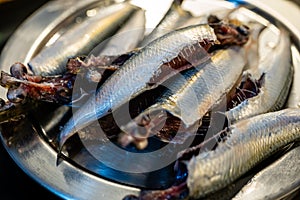 Close up of fresh sardines on a plate in a fish market