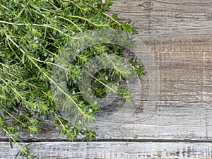 Close-up fresh Savory aromatic herb on rustic wooden table