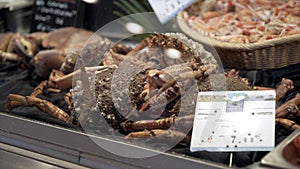 Close-up of fresh seafood in supermarket. Action. Variety in selection of marine products stored in refrigeration