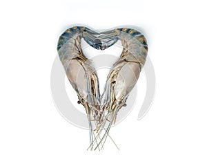 Close up Fresh shrimp and long arm isolated on white background. The giant river prawn on white background. Grilled giant river