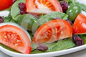 Close up of Fresh Spinach Salad on White Plate