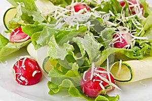 Close-up of Fresh Spring Vegetable Healthy Salad