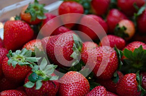 Close up of Fresh Strawberries