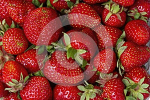 Close up of fresh Strawberries