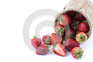 Close up fresh strawberries fruits with sliced half in burlap sack isolated on white background. Fruit and healthy concept.