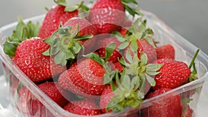 Close up of fresh strawberries in plastic box on 360 degree rotating stand