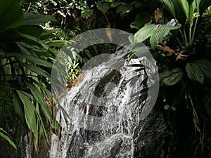 Close up of fresh water cascade de Bis in Guadeloupe, West indies photo