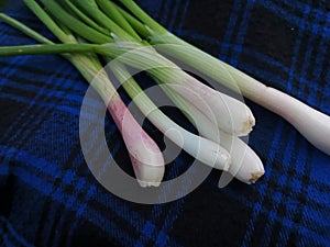 Close Up of Fresh Young Red Onions on Colorful Fabric