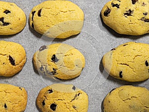 Close up of freshly baked Zaletti biscuits