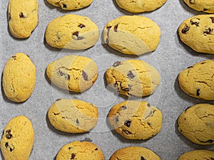 Close up of freshly baked Zaletti biscuits