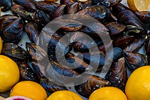 Close-up of freshly caught mussels in the Turkish market ready to cook