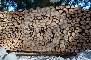 Close up of freshly chopped wood pile in the snow