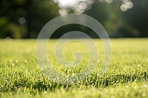 Close-up freshly mowed lawn with stripes on green grass from lawn mower on field.