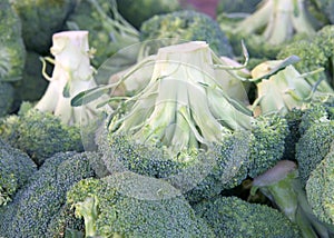 Close up of freshly picked broccoli stacked for sale