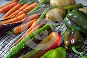 Close-up of freshly picked vegetables. Organic vegetebles on a table: zucchini, beets, peppers, potatoes, carrots on a