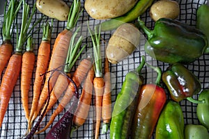 Close-up of freshly picked vegetables. Organic vegetebles on a table: zucchini, beets, peppers, potatoes, carrots on a