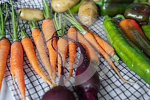 Close-up of freshly picked vegetables. Organic vegetebles on a table: zucchini, beets, peppers, potatoes, carrots on a
