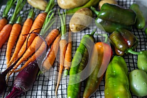 Close-up of freshly picked vegetables. Organic vegetebles on a table: zucchini, beets, peppers, potatoes, carrots on a