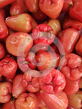 Close-up Freshly plucked rose apple fruit or jambu air on display for sale