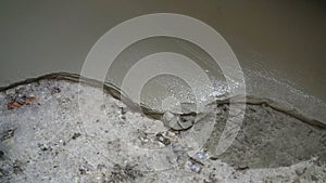 Close-up of a freshly poured concrete floor. Repair of self-leveling floor in an apartment. Fresh screed on the floor in
