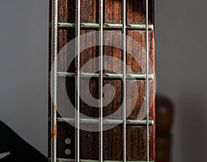 Close-up of the frets of a bass guitar on a blurred background