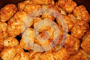 Fried and crispy tator tots