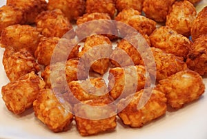 Close up of the fried crispy tator tots on a white plate