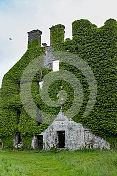 A close up front view of the spectacular and magical ivy clad castle that has been left abandoned and left to the forces