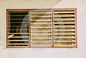 Close up and front view of vintage louver window on white cement shows beautiful texture and shadow under sun light in the morning