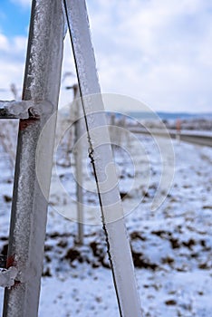 Close up of a frozen metal rod in the vineyard. Layer of ice in the vineyards. Photo suitable as a mural for wineries