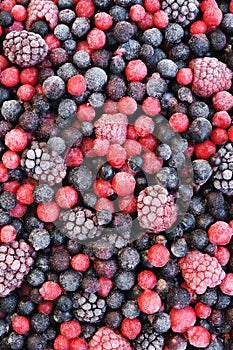 Close up of frozen mixed fruit - berries photo