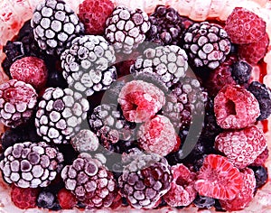 Close up of frozen mixed fruit - berries - red currant, cranberr