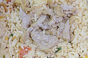 Close-up of frozen pork fried rice