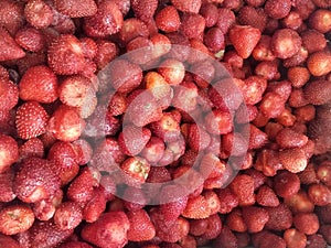 Close-up of frozen strawberries.  Dietary foods.