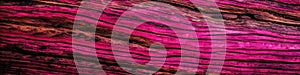 Close Up Fuchsia Textured Wood Background Panoramic Banner. Generative AI